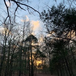 Meet your Posher, Brynlee